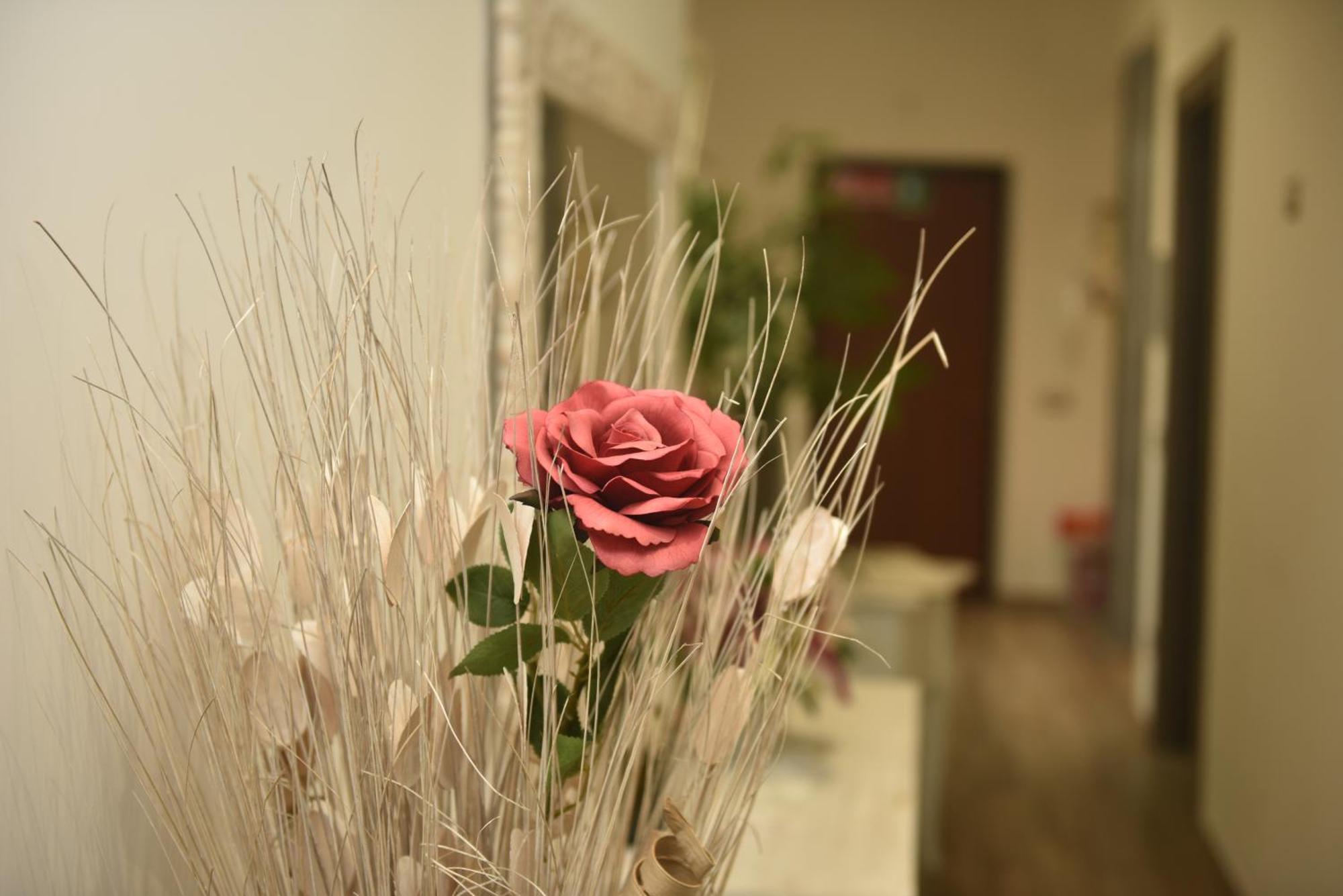 로마 In Terrazza Da Giusy B&B 외부 사진