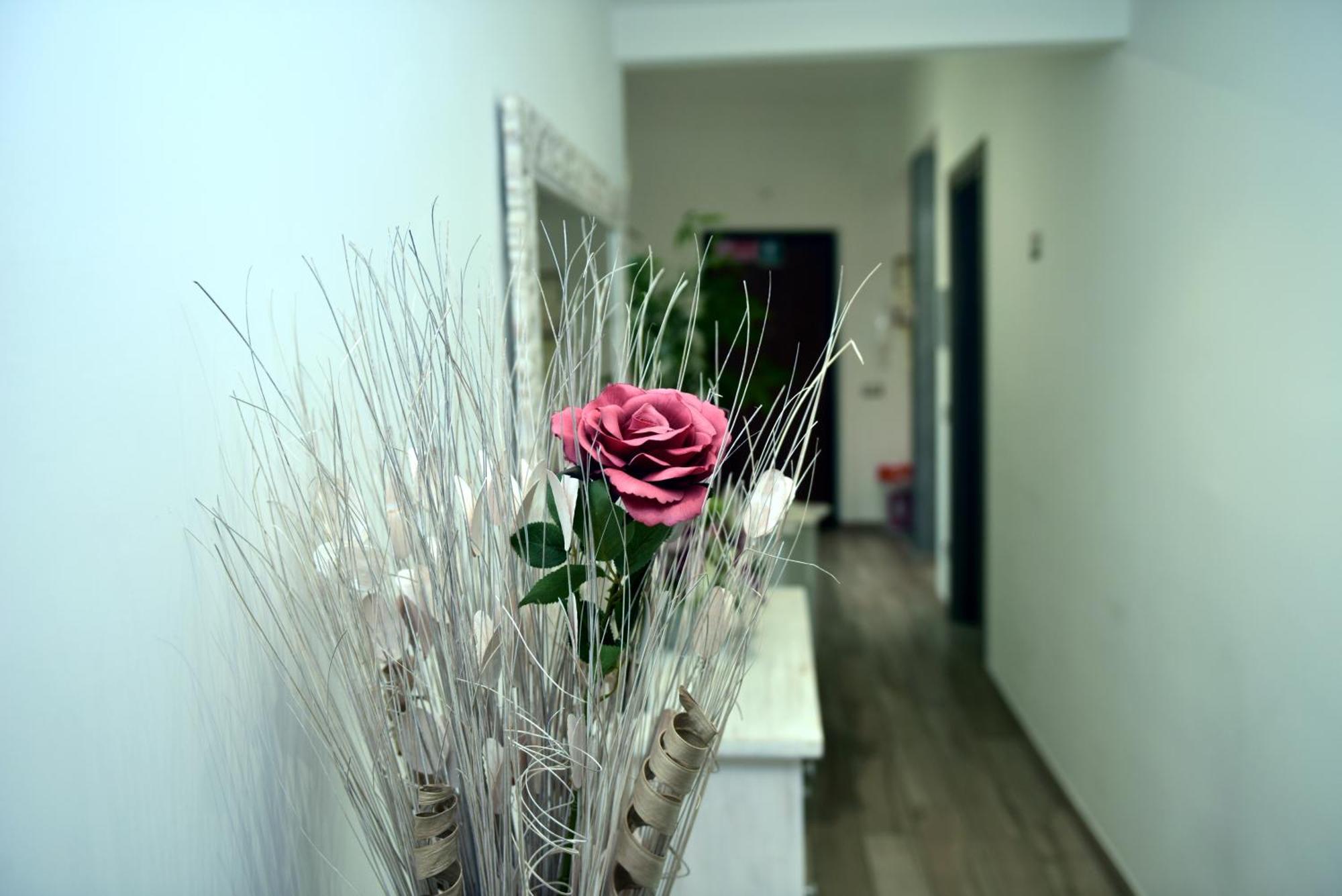 로마 In Terrazza Da Giusy B&B 외부 사진